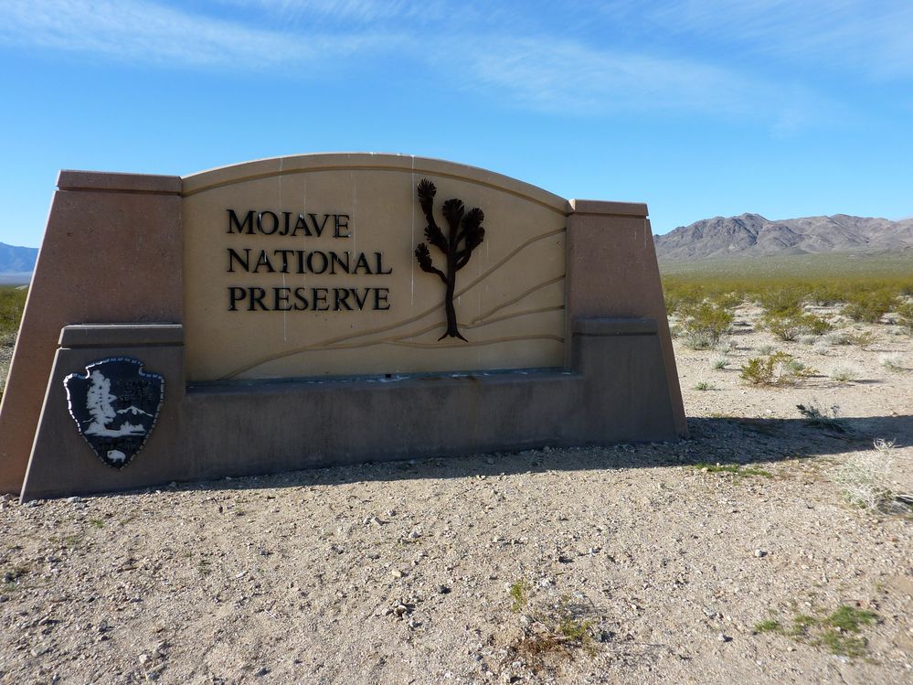 Mojave reserve (1).JPG